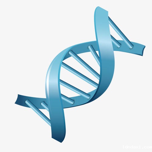 新基因编辑工具SeekRNA面世